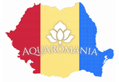 Aquaromaniaaquabliss-angel
