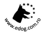 Edogkalypsoland